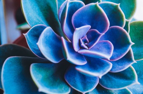 Quelles sont les meilleures façons d'utiliser des accessoires en perles pour une tenue de baptême?